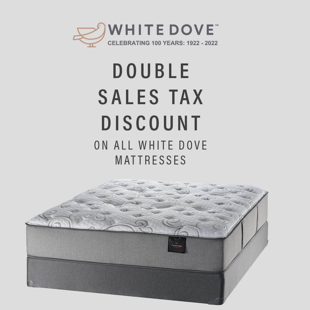 Bears Presidents Day 1080x1080 21jmbtamr6